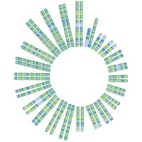 Soleno Therapeutics, Inc.