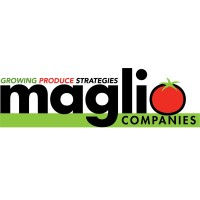 Maglio Companies