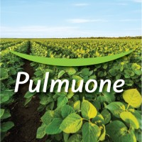 Pulmuone Foods USA, Inc.