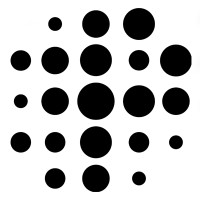 Precision Neuroscience