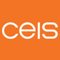 CEIS | Critical Energy Infrastructure Services